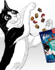 Felix Goody Bag Picnic Mix Adult Cat Treats Seaside Mix 8 x 60g Packs