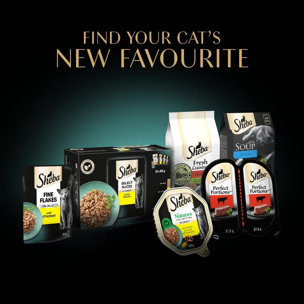 SHEBA Fine Flakes Adult Wet Cat Food with Salmon Jelly 11 x 85g