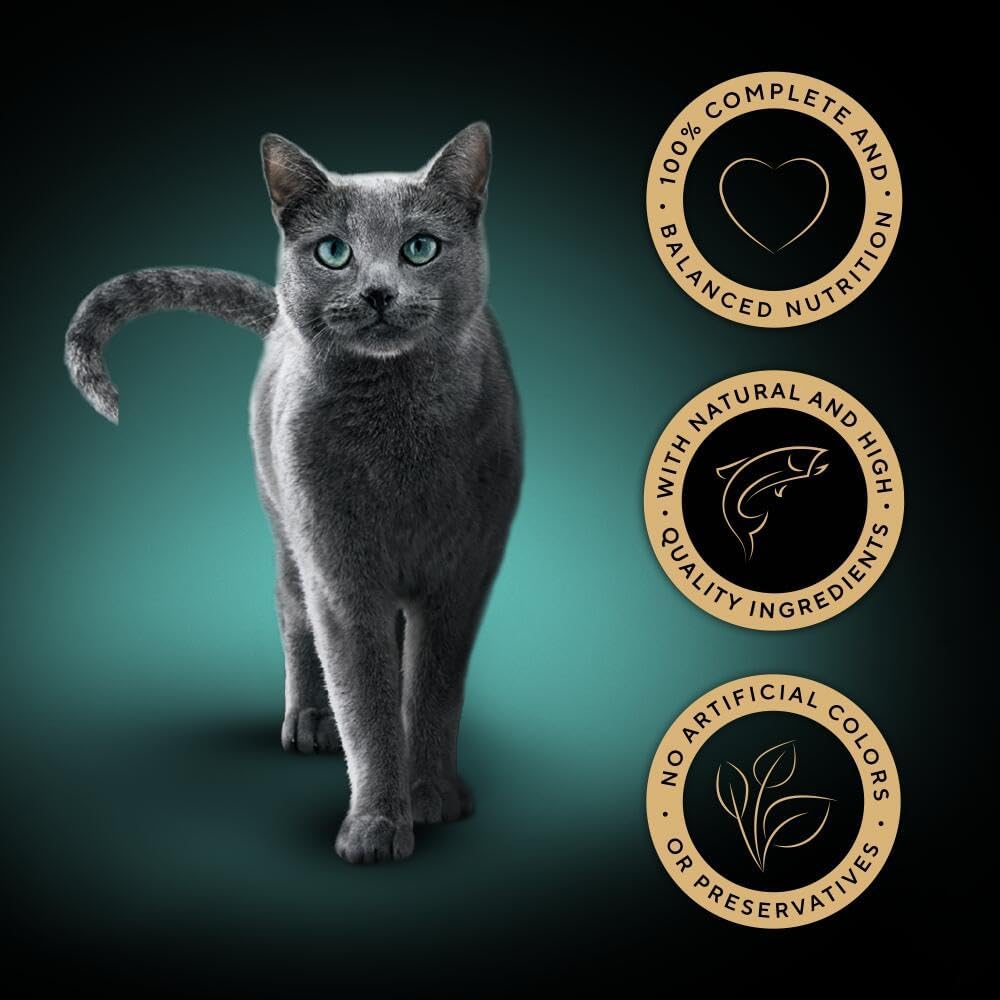 SHEBA Fine Flakes Adult Wet Cat Food with Salmon Jelly 11 x 85g