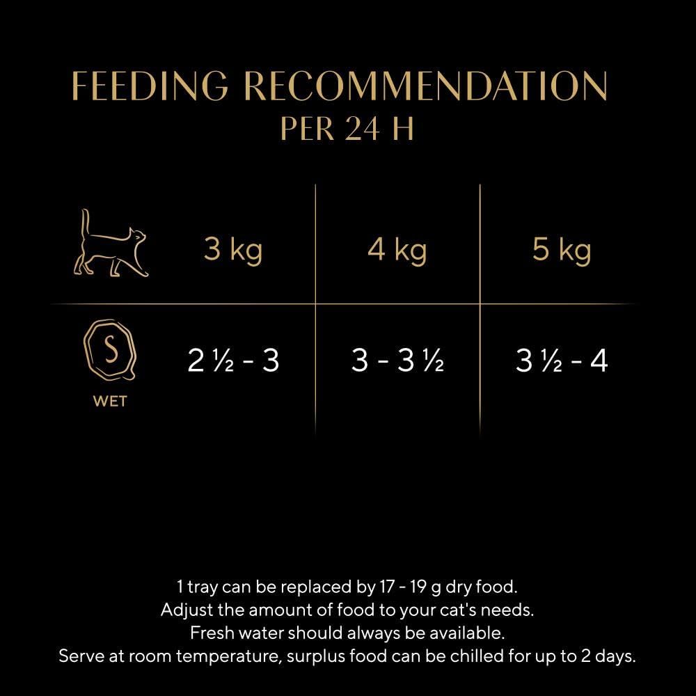 SHEBA Fine Flakes Adult Wet Cat Food with Salmon Jelly 11 x 85g